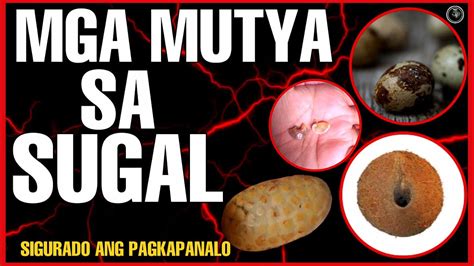 sugal sa lamay|IBA'T IBANG URI NG SUGAL .